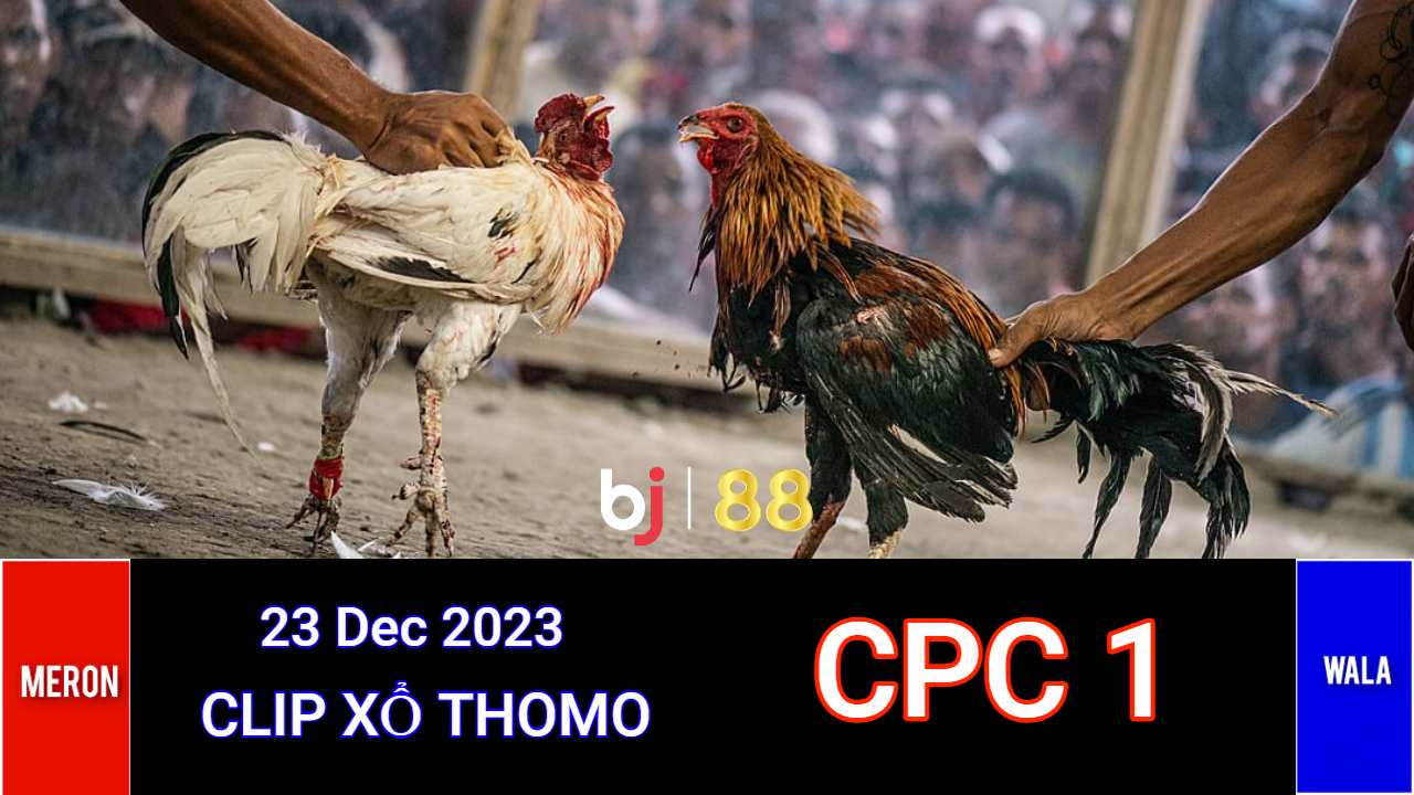 Cpc1 Daga (23 Dec 2023)