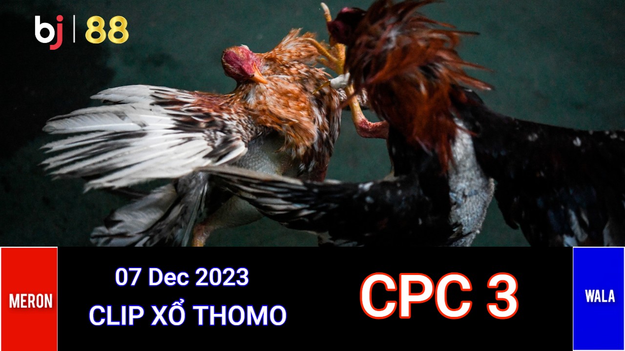 CPC3-bj88 da ga thomo