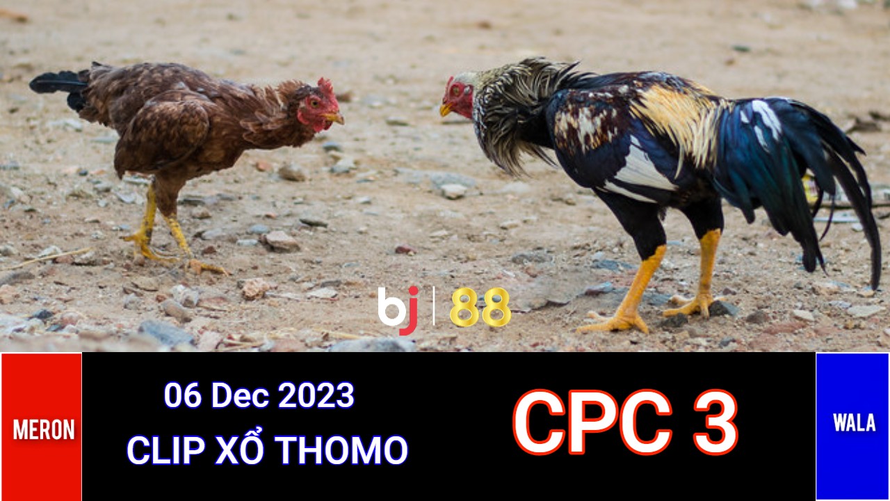 CPC3-bj88daga