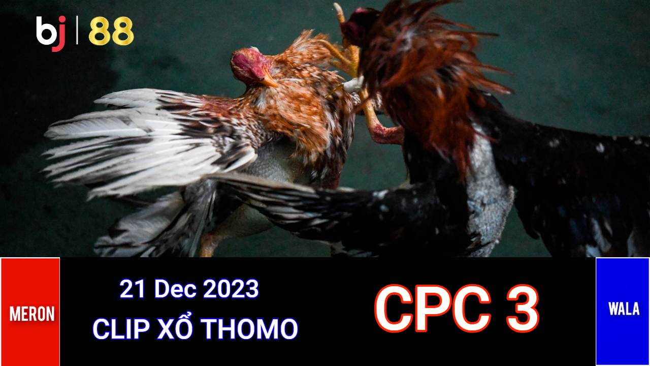 Cpc3 Daga (21 Dec 23)