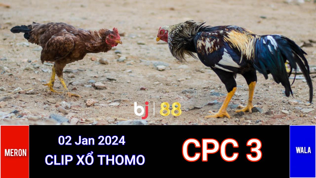 Cpc3 Daga (02 01 2024)