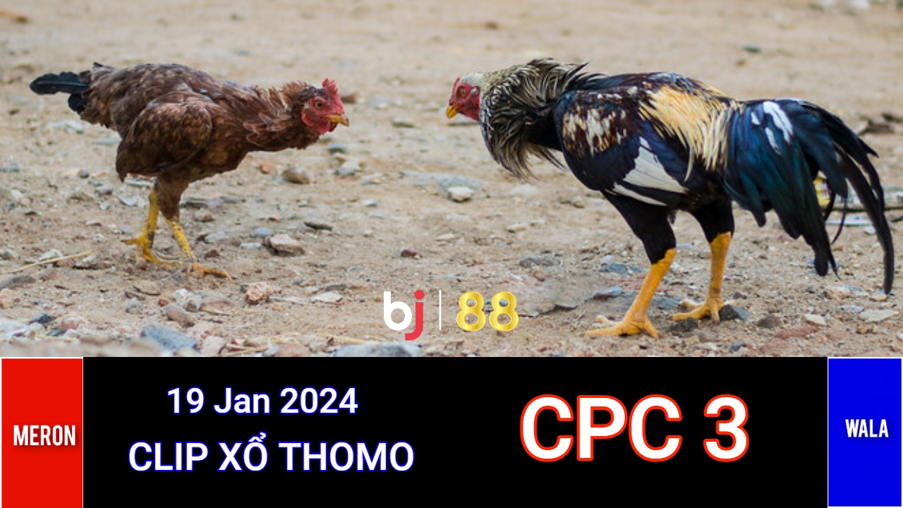 Cpc3 Daga (19 01 24)