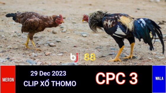 Cpc3 Daga (29 12 2023)