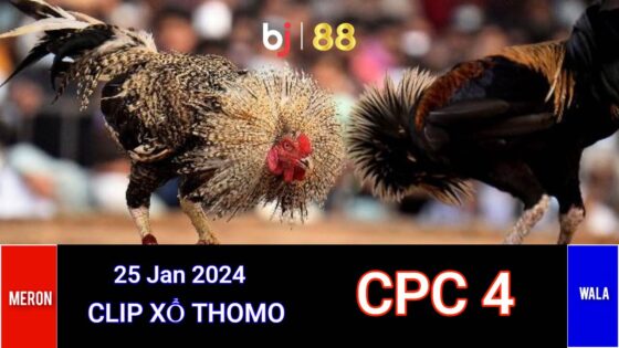 Cpc4 Daga (25 01 24)