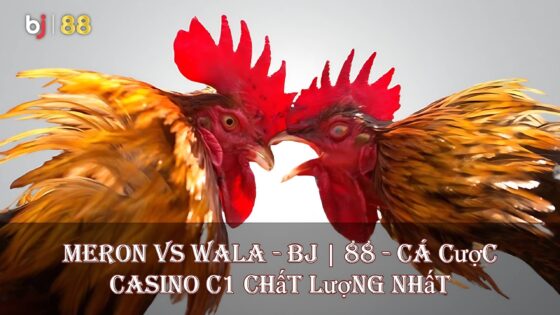 Meron Vs Wala Bj 88 Cá Cược Casino C1 Chất Lượng Nhất