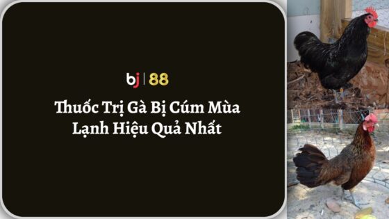 Bj88 Thuốc Trị Gà Bị Cúm Mùa Lạnh Hiệu Quả Nhất