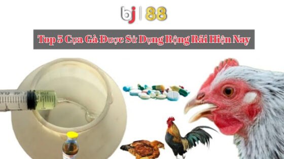 Bj88 Top 5 Cựa Gà được Sử Dụng Rộng Rãi Hiện Nay (1)