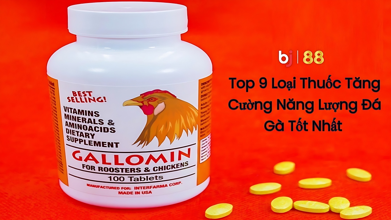 Bj88 Top 9 Loại Thuốc Tăng Cường Năng Lượng đá Gà Tốt Nhất (1)