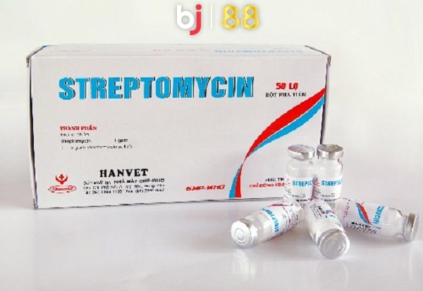 Bj88 Sptreptomycin