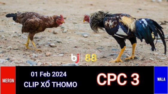 Cpc3 Daga (01 02 24)