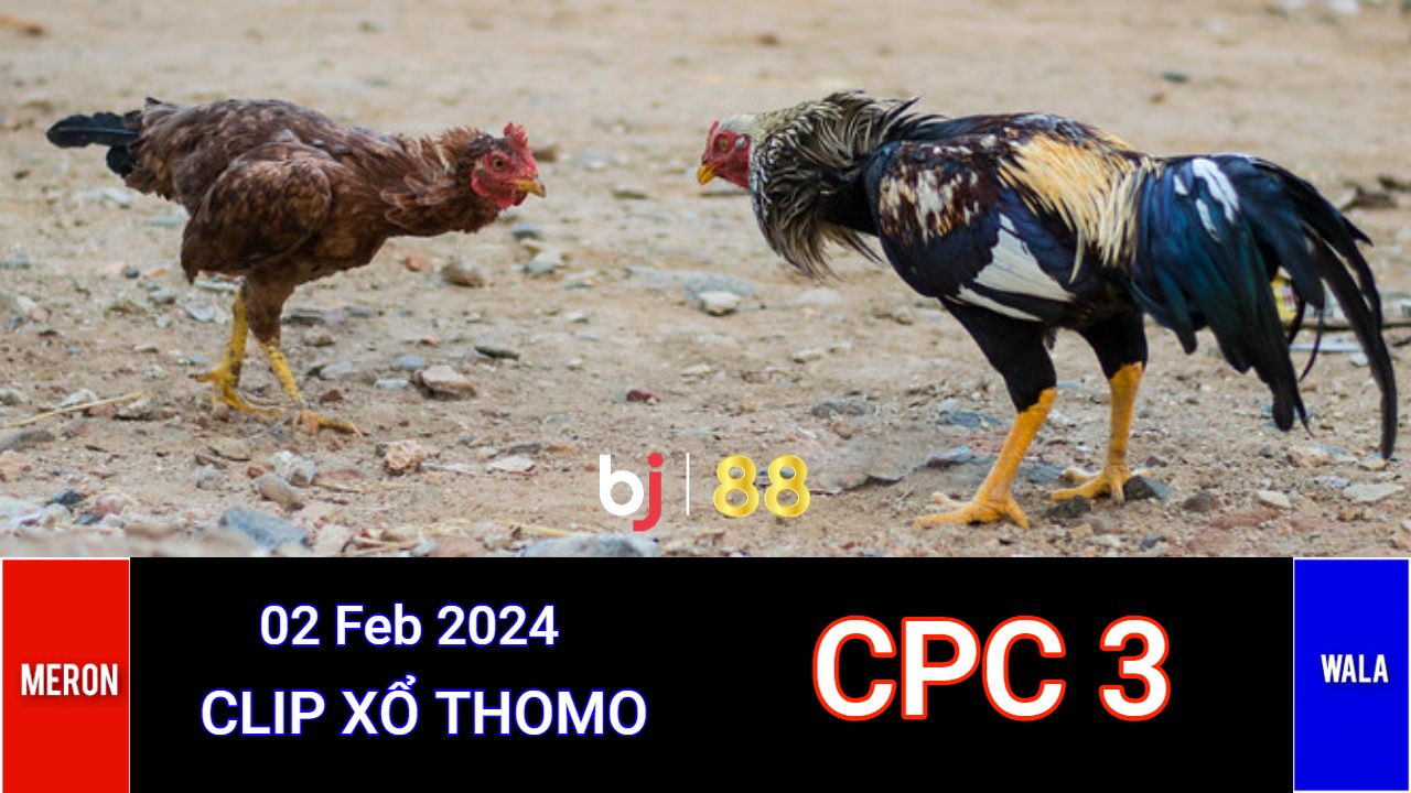 Cpc3 Daga (02 02 24)