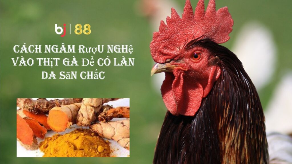 Bj88 Cach Ngam Ruou Nghe Vao Thit Ga De Co Lan Da San Chac